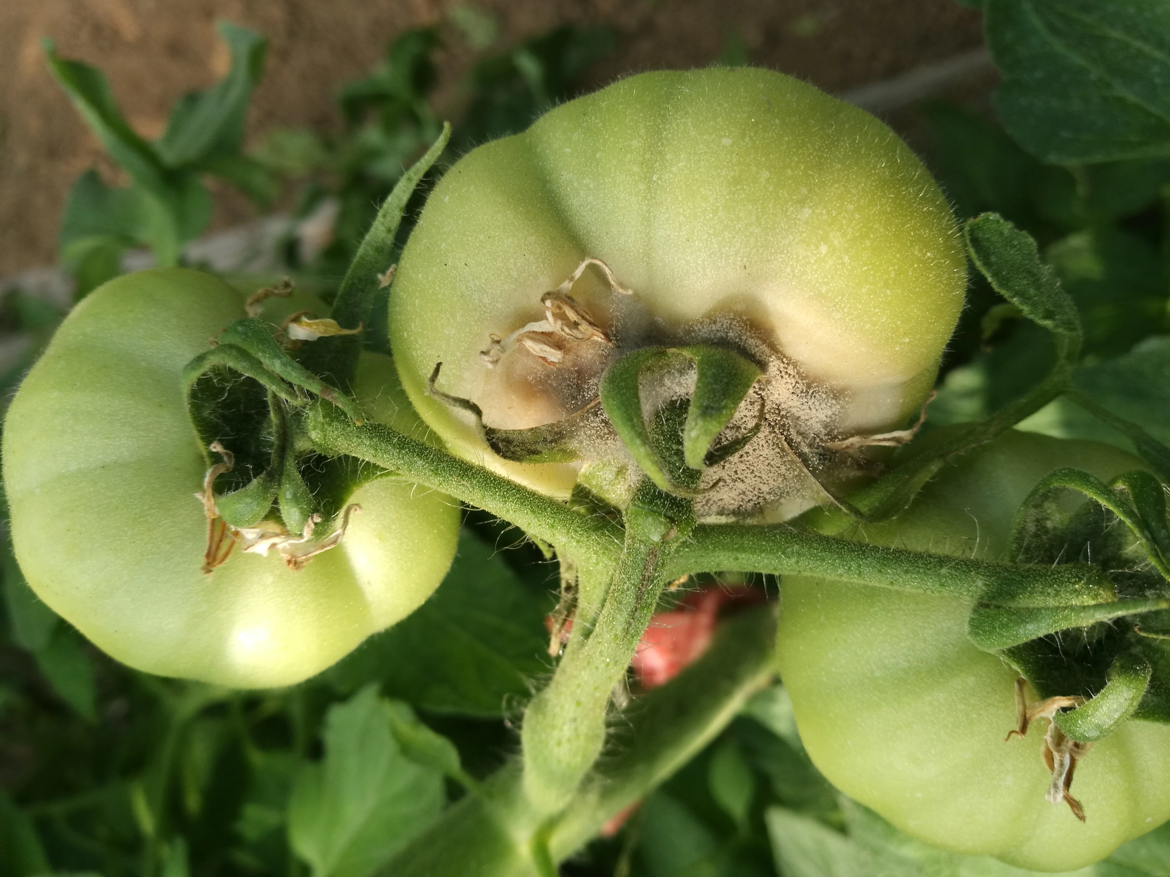 微信图片_20200207205332 (2).jpg