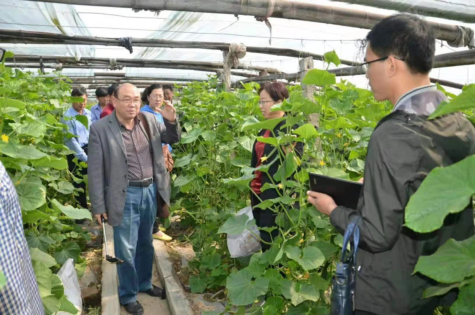 微信图片-蔬菜专家王广印教授.jpg