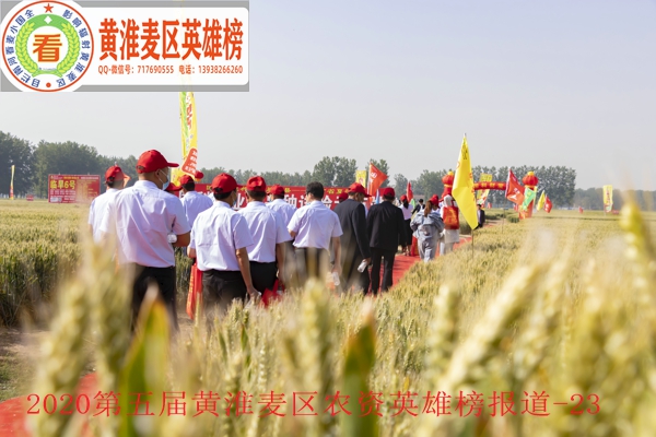 微信图片_20200626011132.jpg