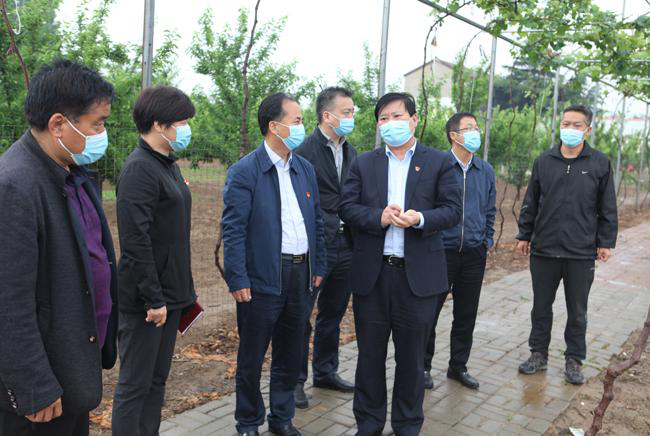 5月9日下午，郑州市教育局党组书记、局长王中立一行来到新郑市辛店镇王庄村，调研王庄村脱贫攻坚工作.png