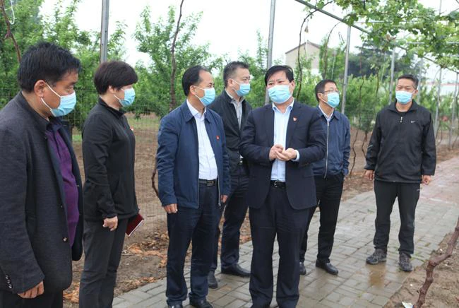 5月9日下午,郑州市教育局党组书记、局长王中立一行来到新郑市辛店镇王庄村,调研王庄村脱贫攻坚工作.png 5月9日下午,郑州市教育局党组书记、局长王中立一行来到新郑市辛店镇王庄村,调研王庄村脱贫攻坚工作.png