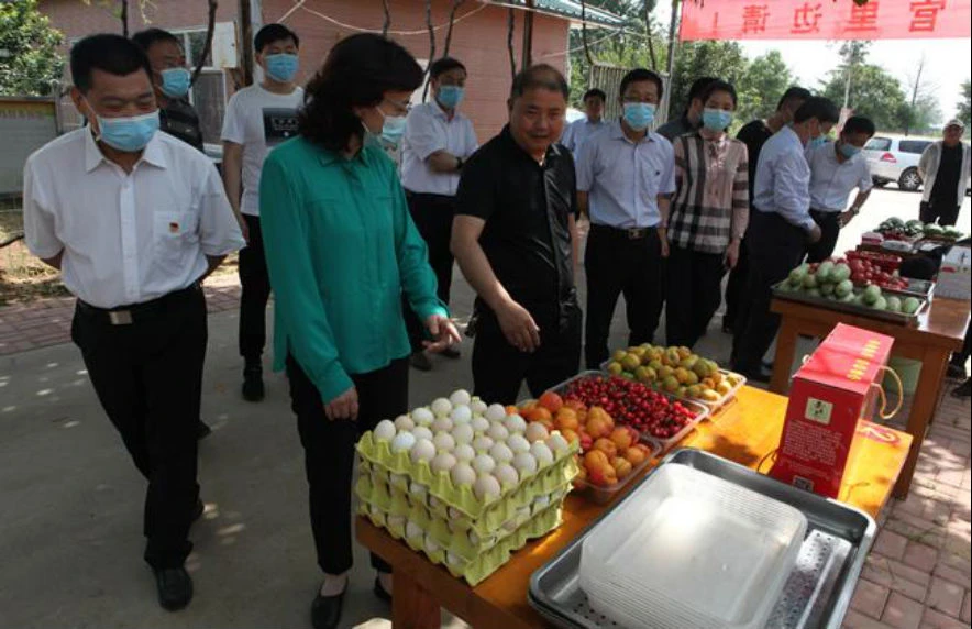 孙晓红一行到王庄村科技化产业项目实施单位郑州锦艺生态有限公司调研.png 孙晓红一行到王庄村科技化产业项目实施单位郑州锦艺生态有限公司调研.png