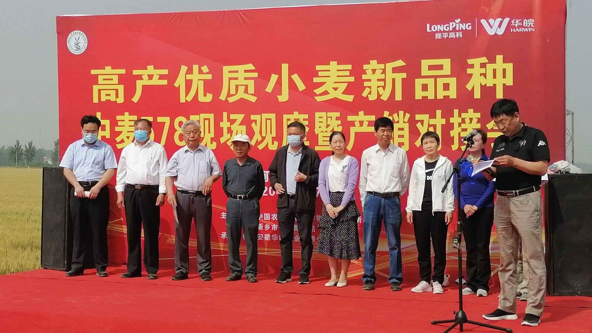 2020-河南小麦观摩候选-----文件夹mmexport1589686415471.jpg