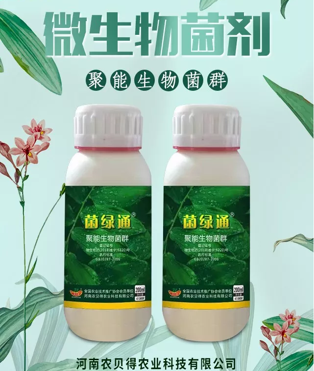 菌绿通---1.png