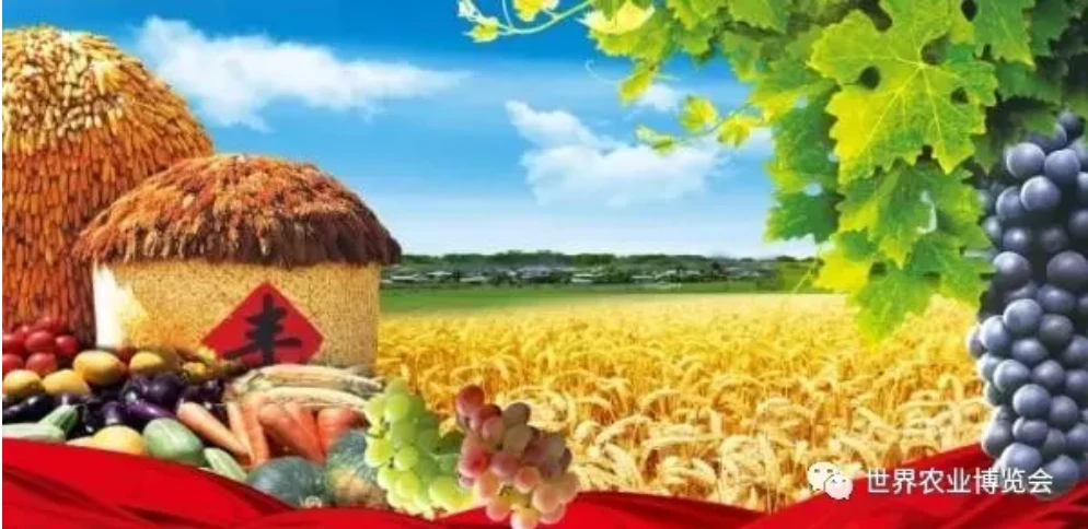 QQ截图20201019232005.png QQ截图20201019232005.png