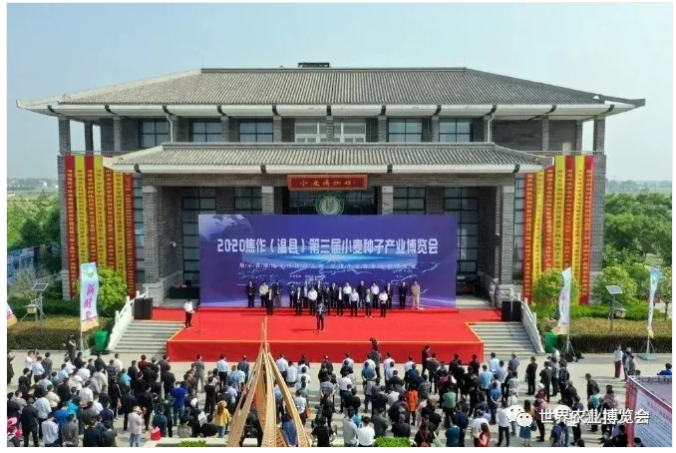 QQ截图20201019222240.png