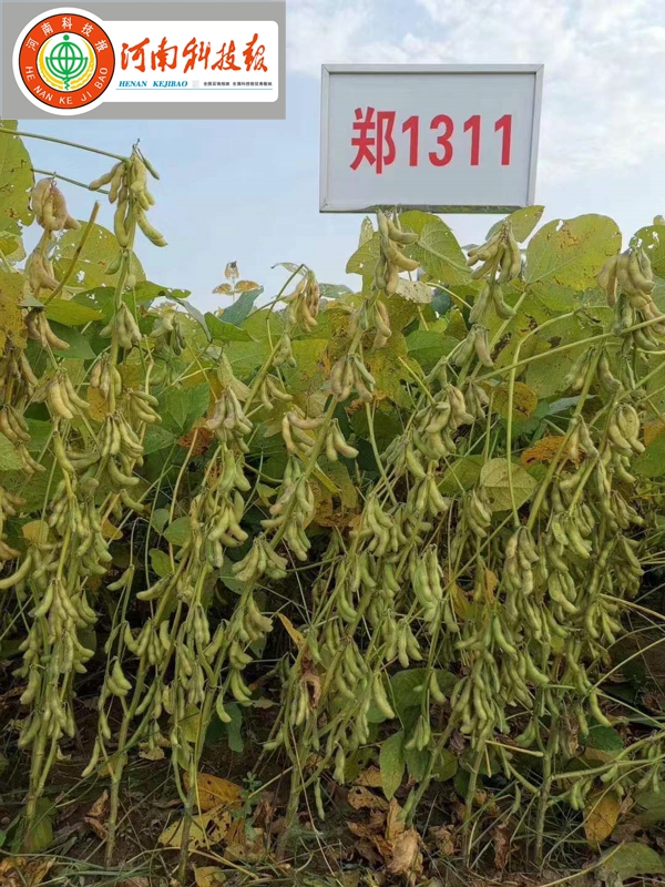 微信图片_20210108000135.jpg