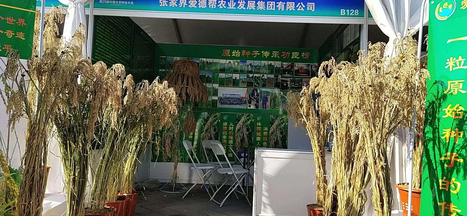 微信图片_20220316233106.jpg 微信图片_20220316233106.jpg